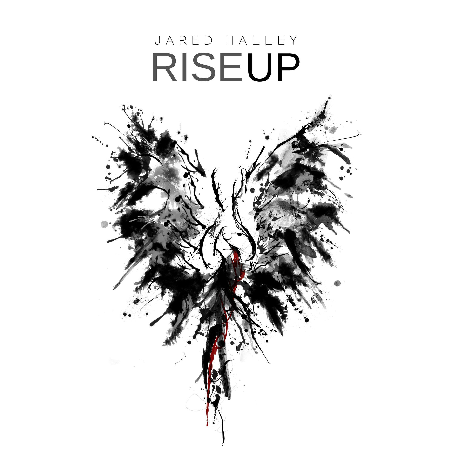 Album cover of Rise Up