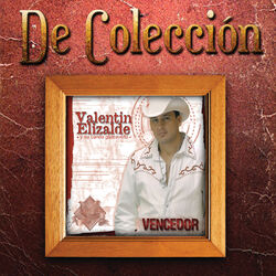 Cover of Vencedor (De Colección)
