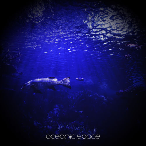 Echolocation
