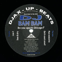 Cover of Do You Speak Chicago?