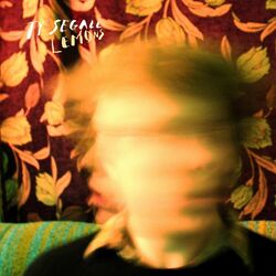 Cover of Lemons