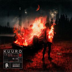 Cover of Crash & Burn