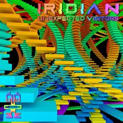 Cover of Unexpected Visitors EP