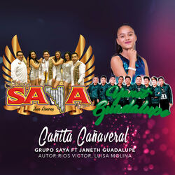 Cover of Cañita Cañaveral