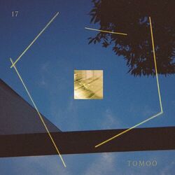 Cover of 17