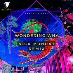 Cover of Wondering Why (Nick Munday Remix)