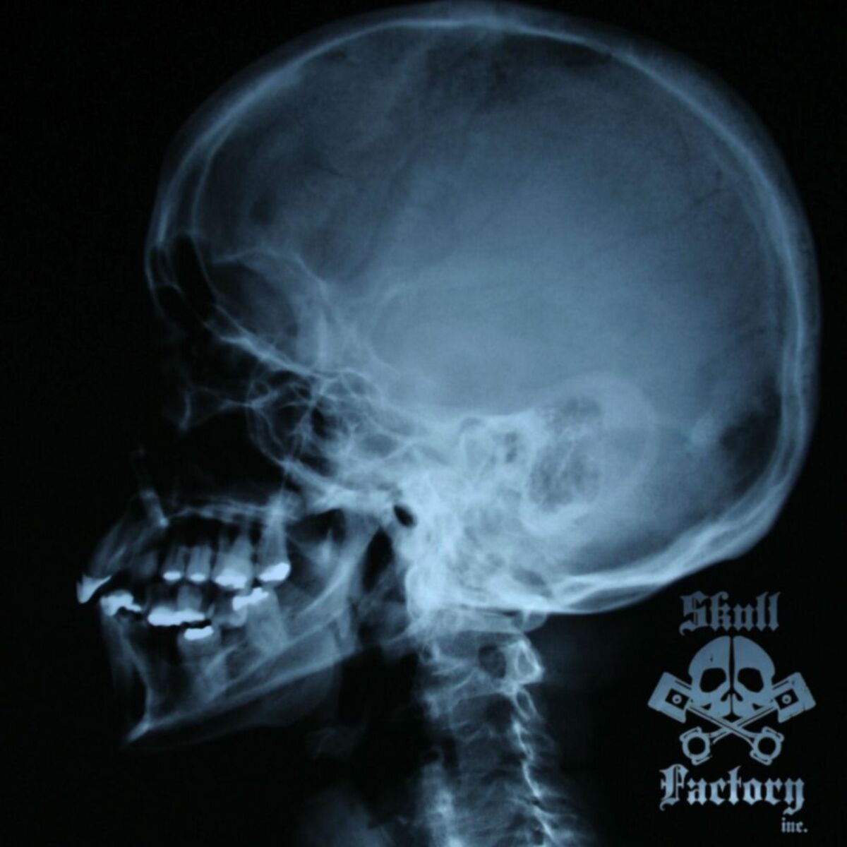 Album cover of The Cluster