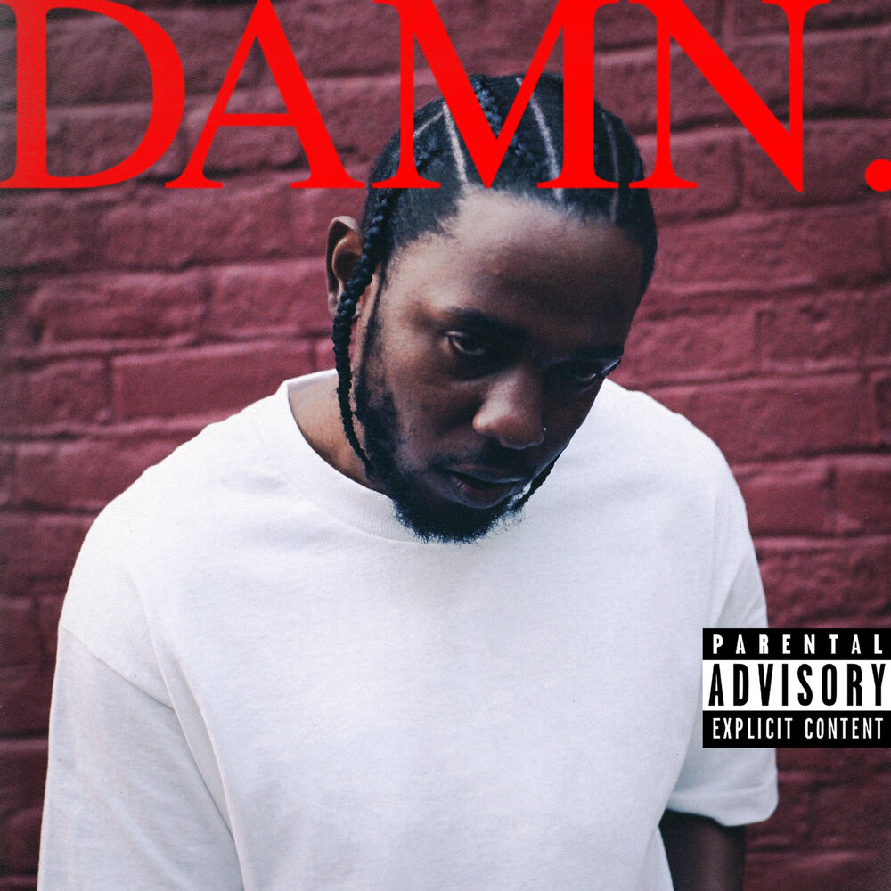 Picture of DAMN.