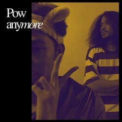 Cover of anymore