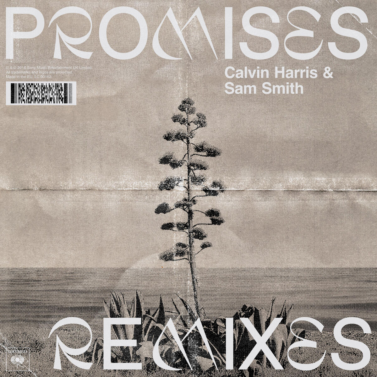 Album cover of Promises