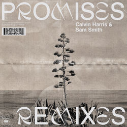 Cover of Promises (Remixes)