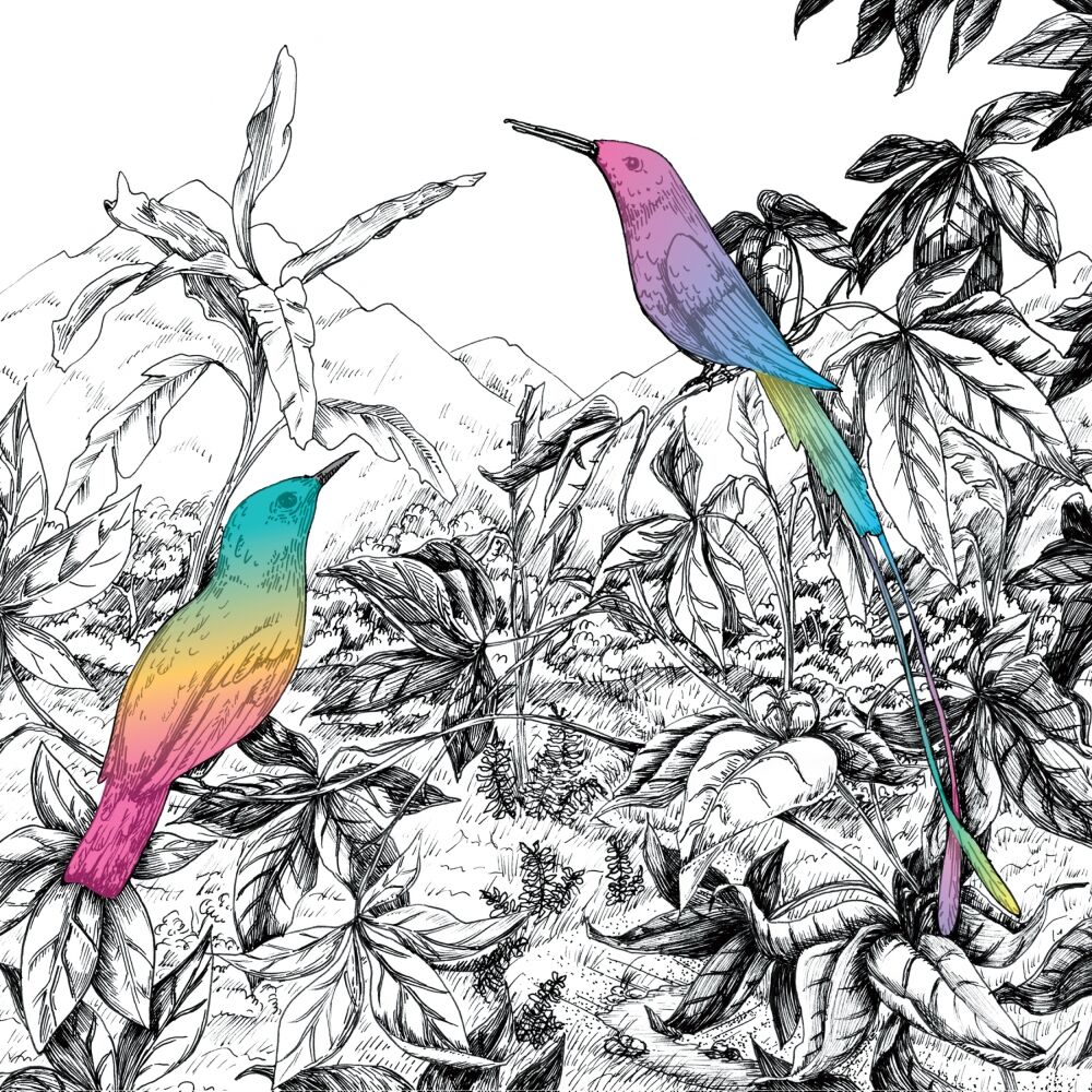 Picture of Two Birds
