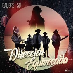 Cover of Dirección Equivocada