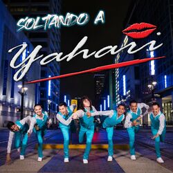 Cover of Soltando A
