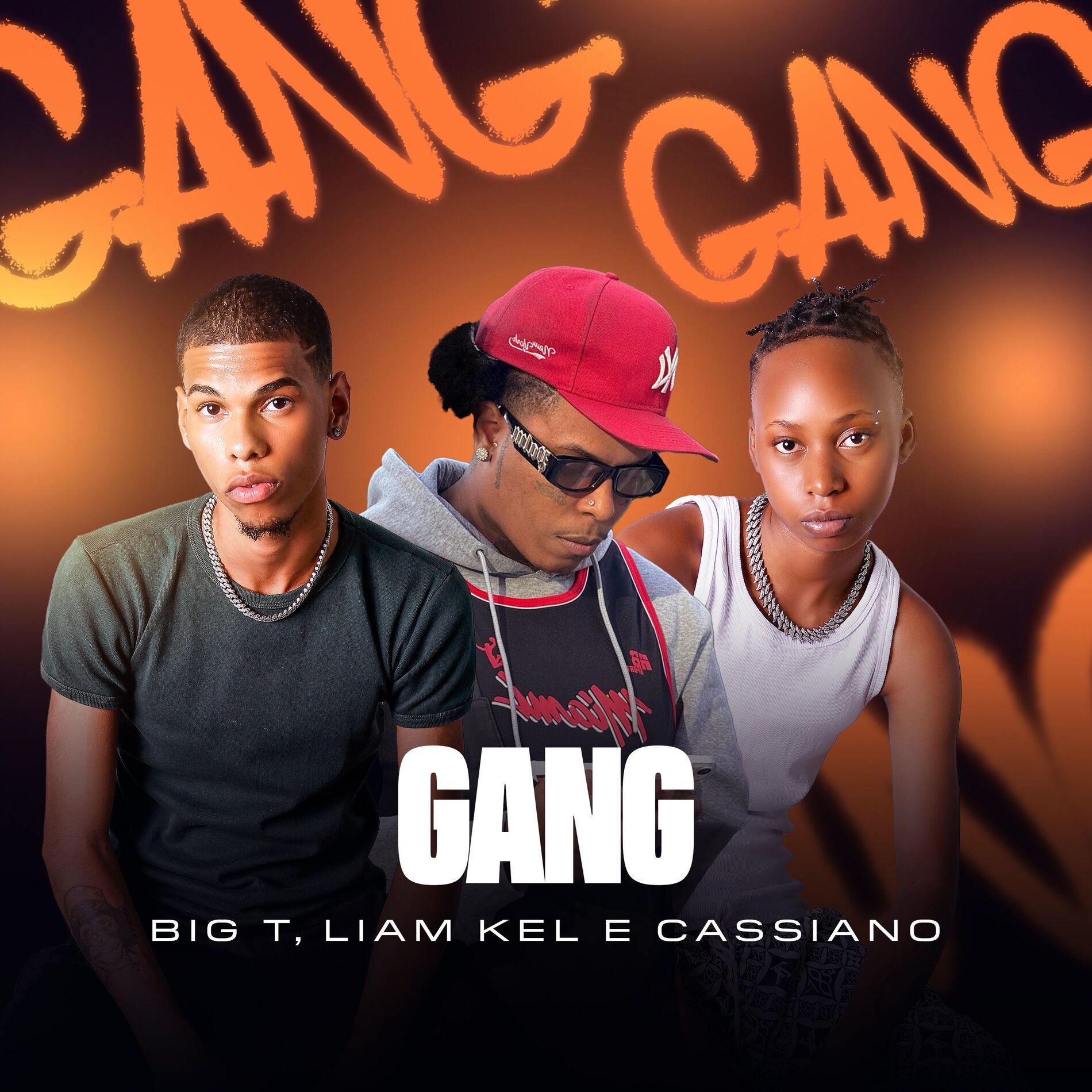 Album cover of Gang