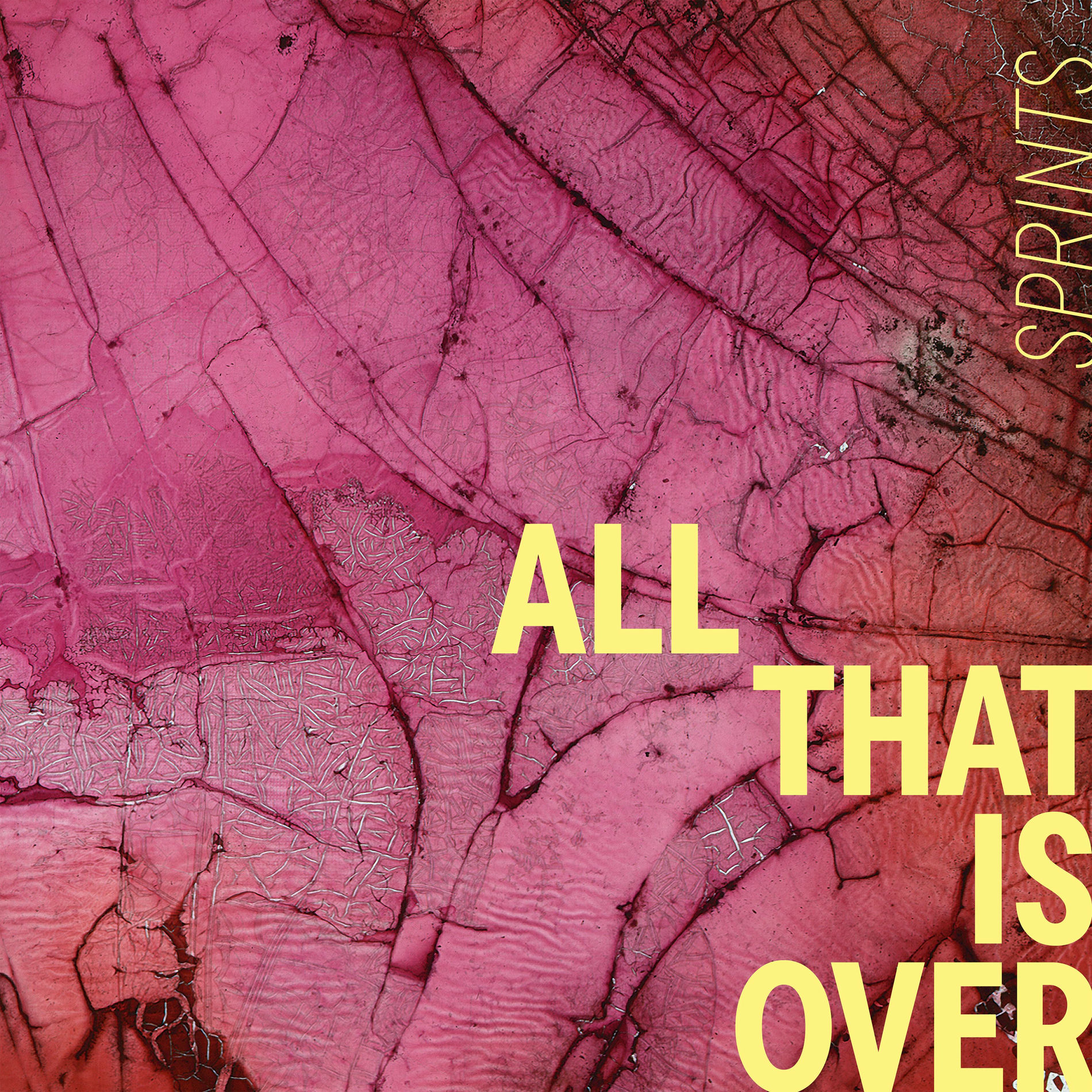 Album cover of All That Is Over