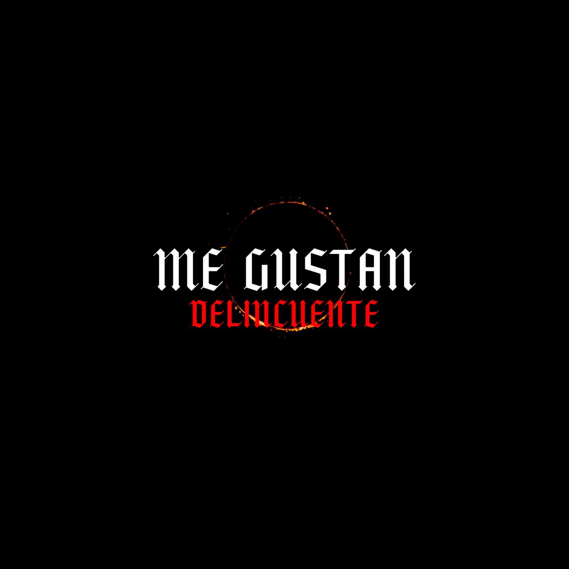 Album cover of Me Gustan Delincuente