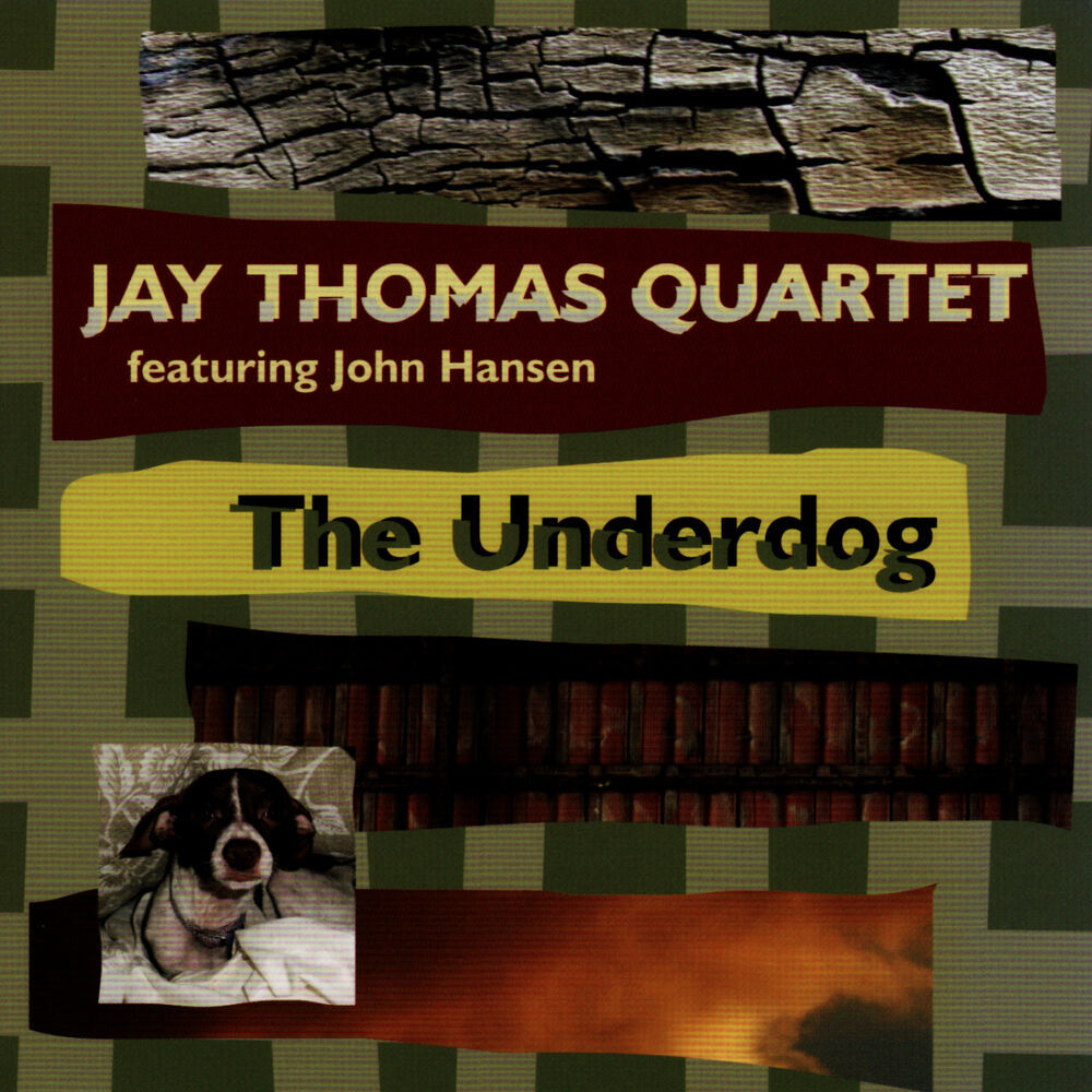 Picture of The Underdog