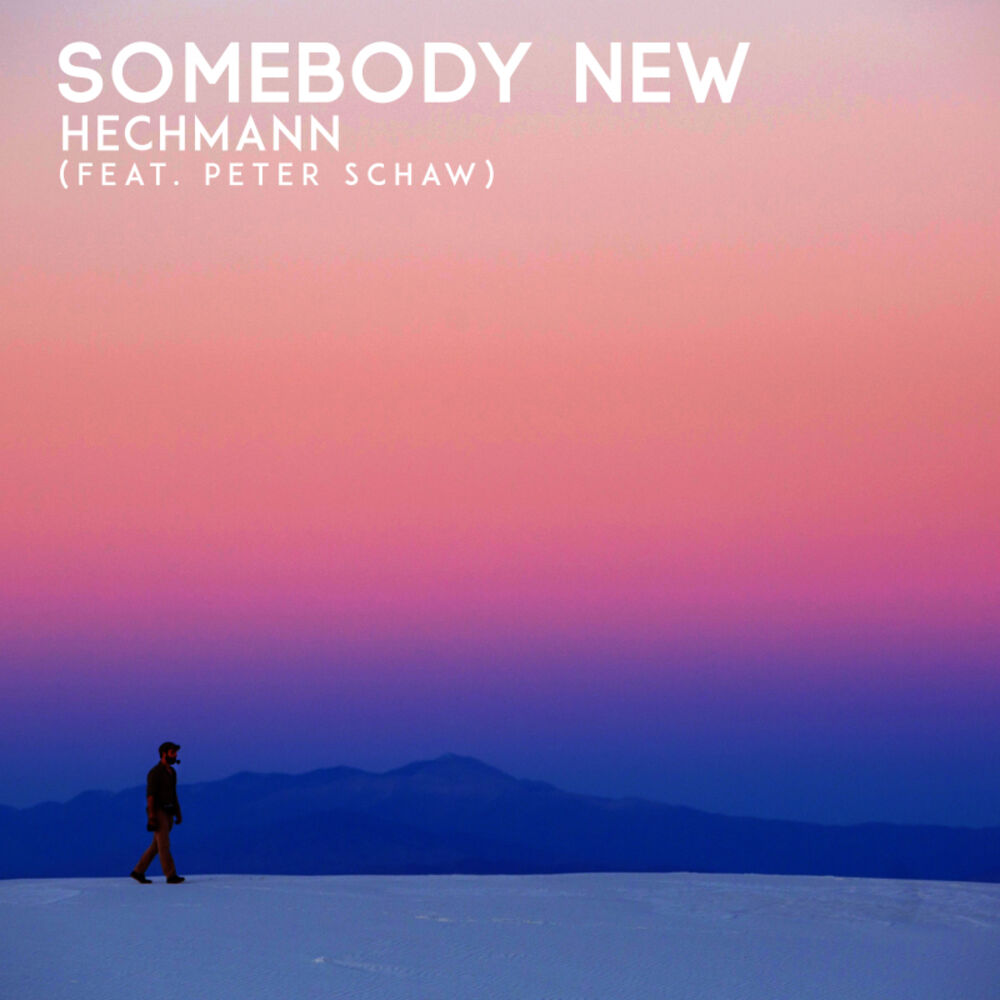Picture of Somebody New (feat. Peter Schaw)