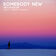 Somebody New (feat. Peter Schaw)