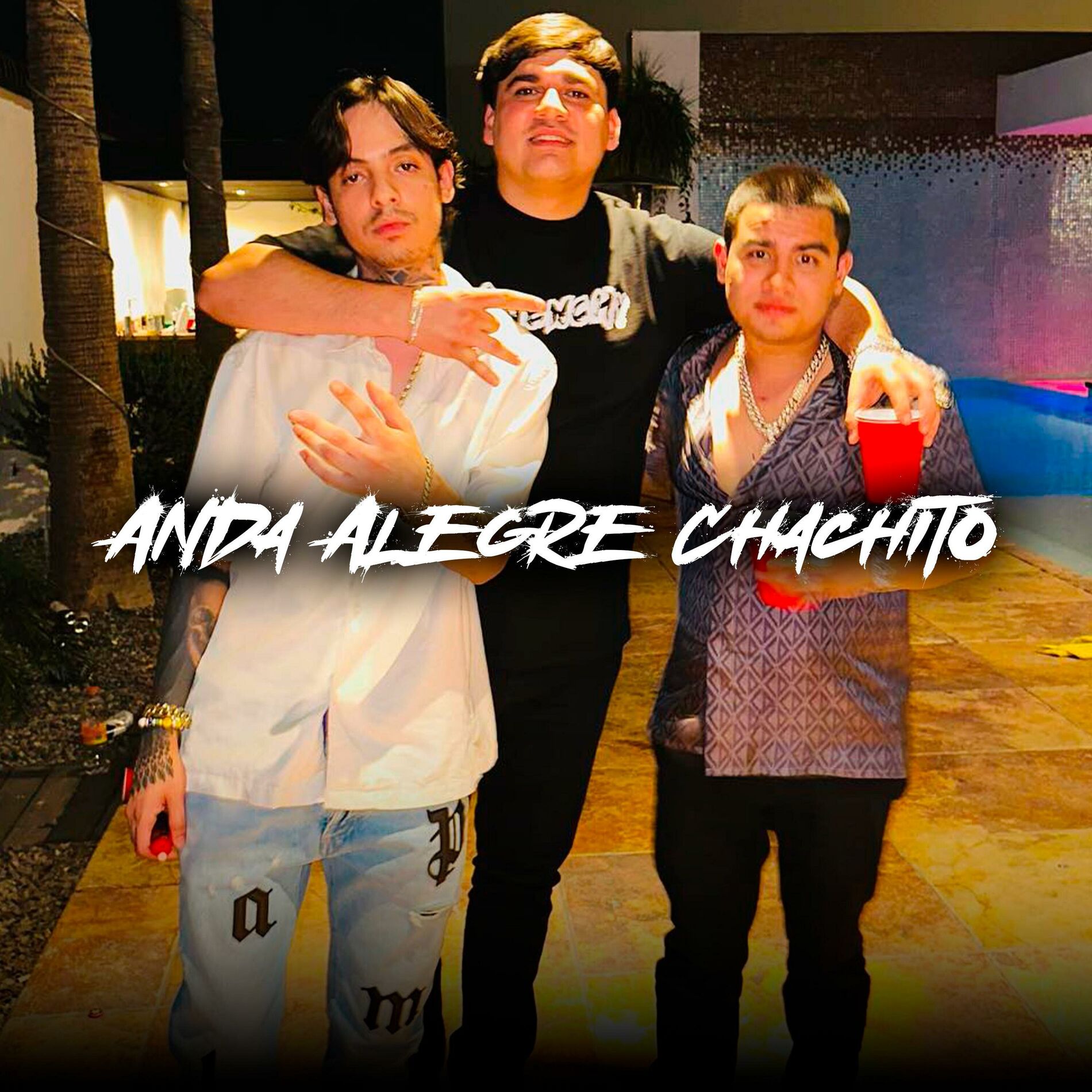 Album cover of Anda Alegre Chachito (Special Version)