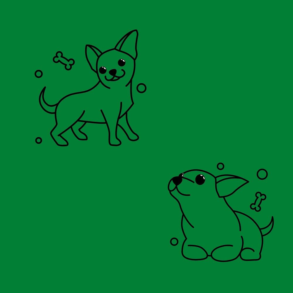 Picture of Paradise Like Bgm for Chillin Dogs