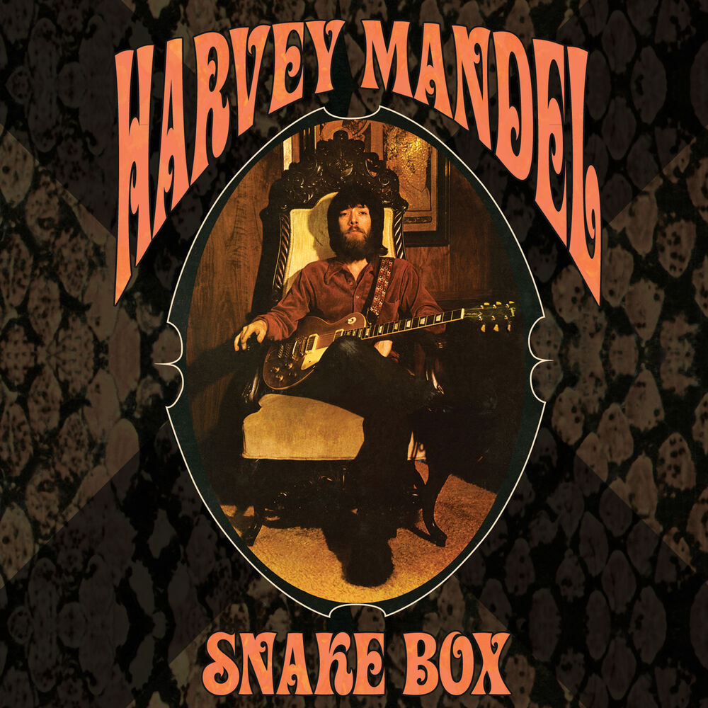 Picture of Snake Box
