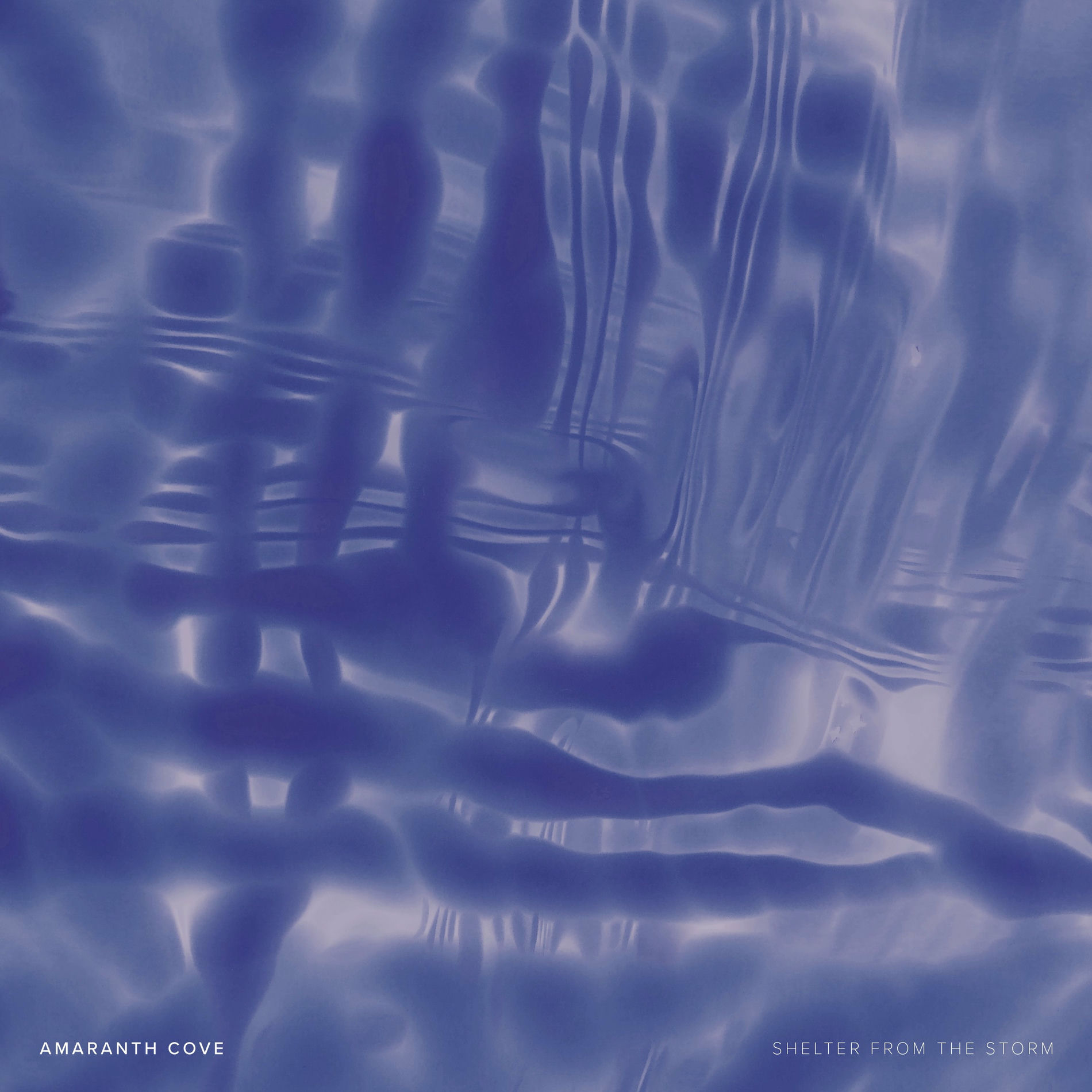 Album cover of Shelter from the Storm