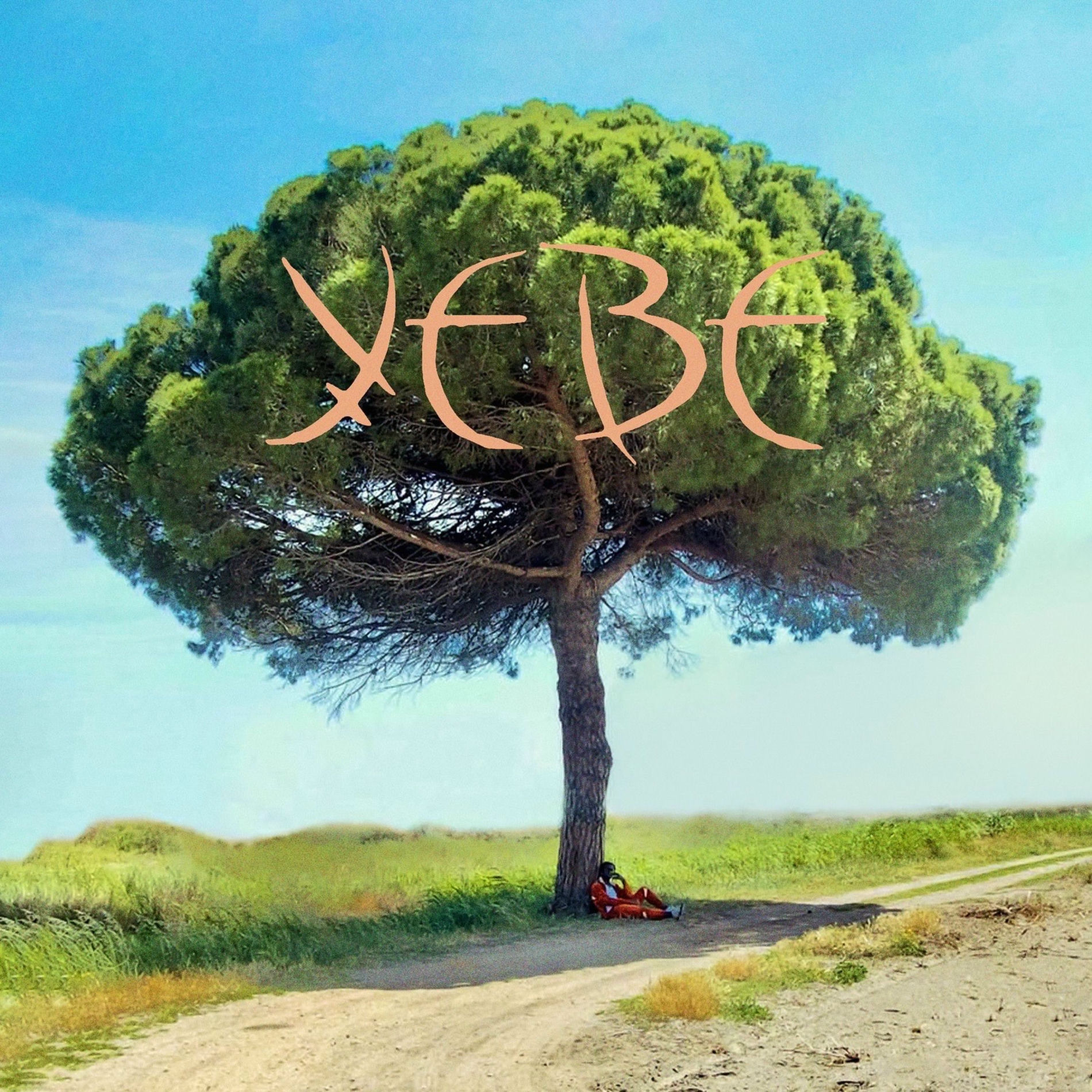 Album cover of Yebe