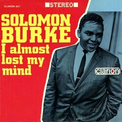 Cover of I Almost Lost My Mind