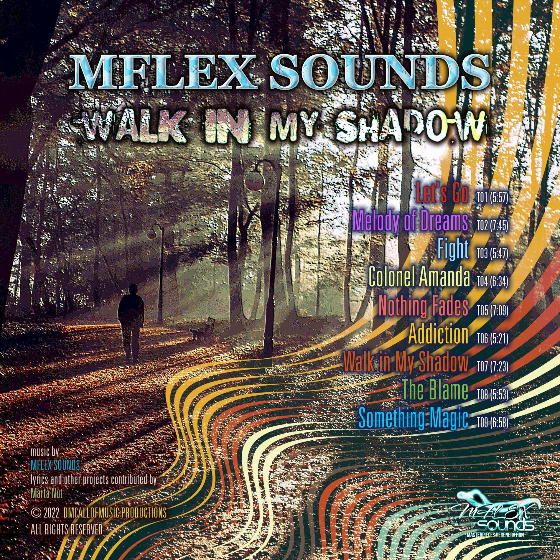 Album cover of Walk In My Shadow