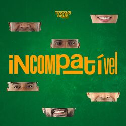 Cover of Incompatível