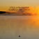 Tears of Yesterday by D72 album cover