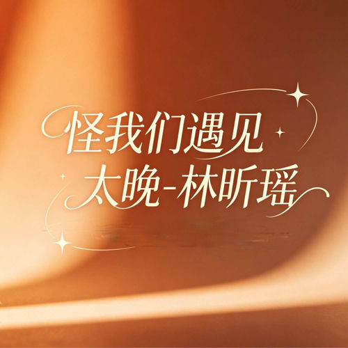 怪我们遇见太晚