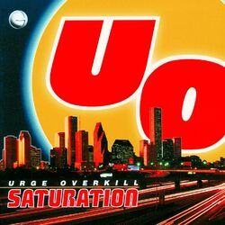 Cover of Saturation