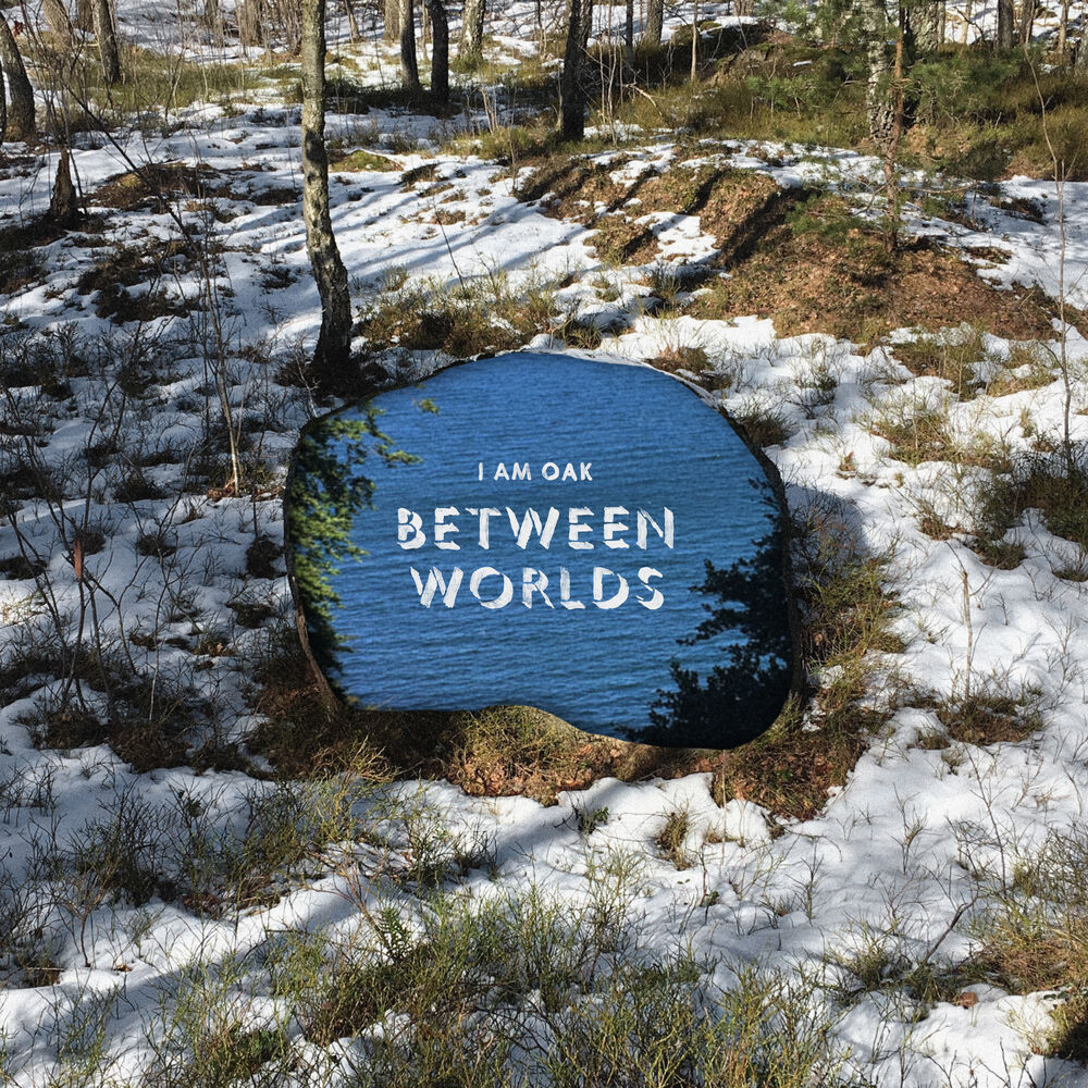 Picture of Between Worlds