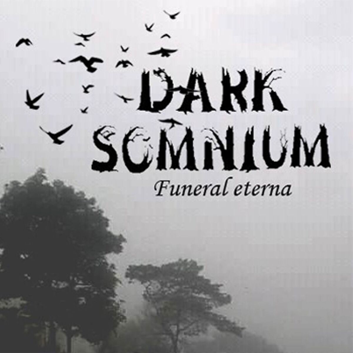 Album cover of Funeral eterna