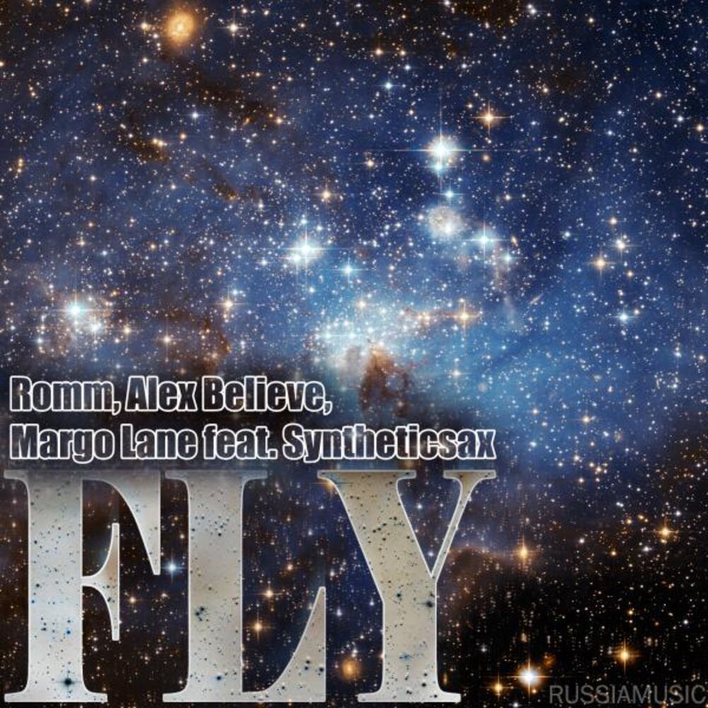 Picture of Fly