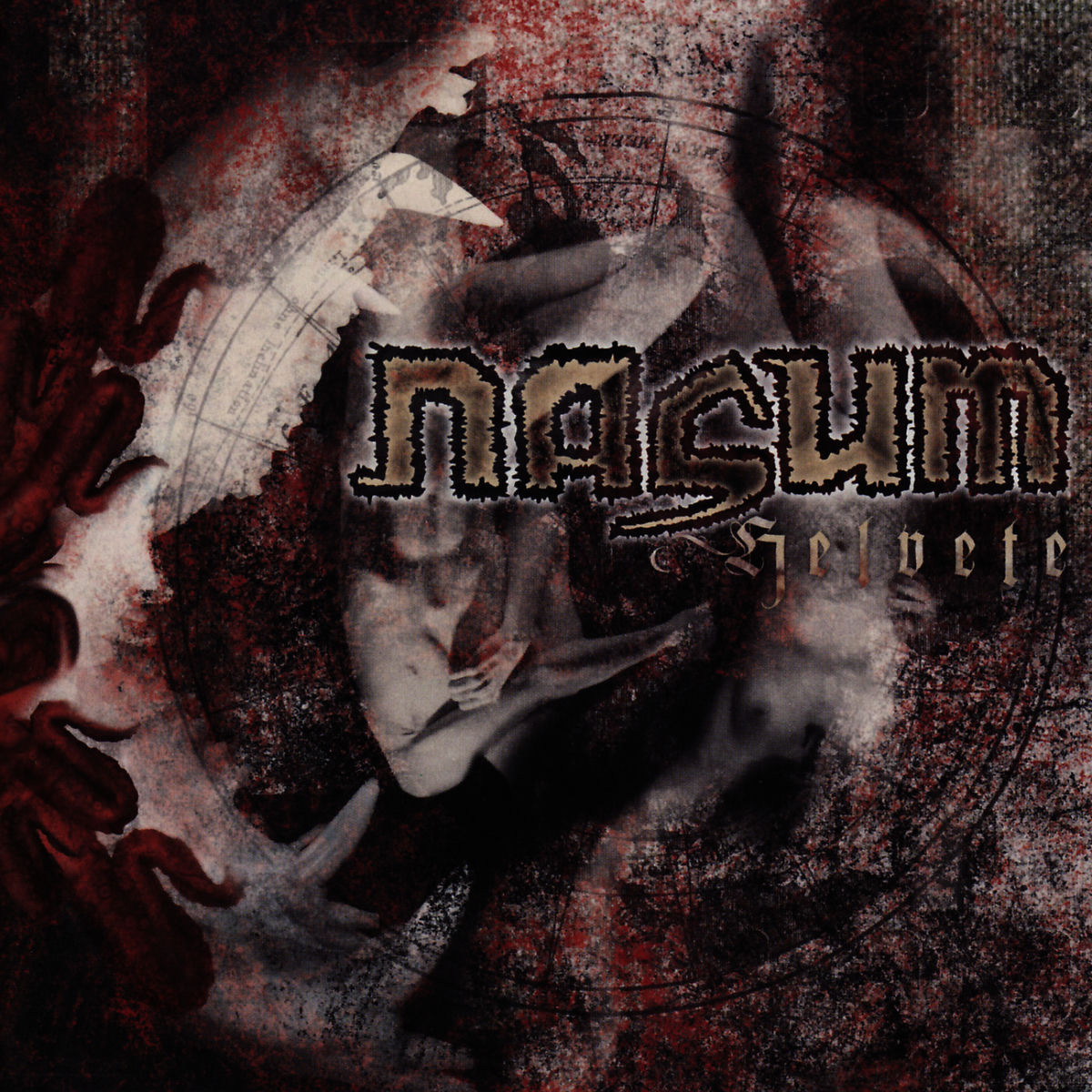 Album cover of Scoop