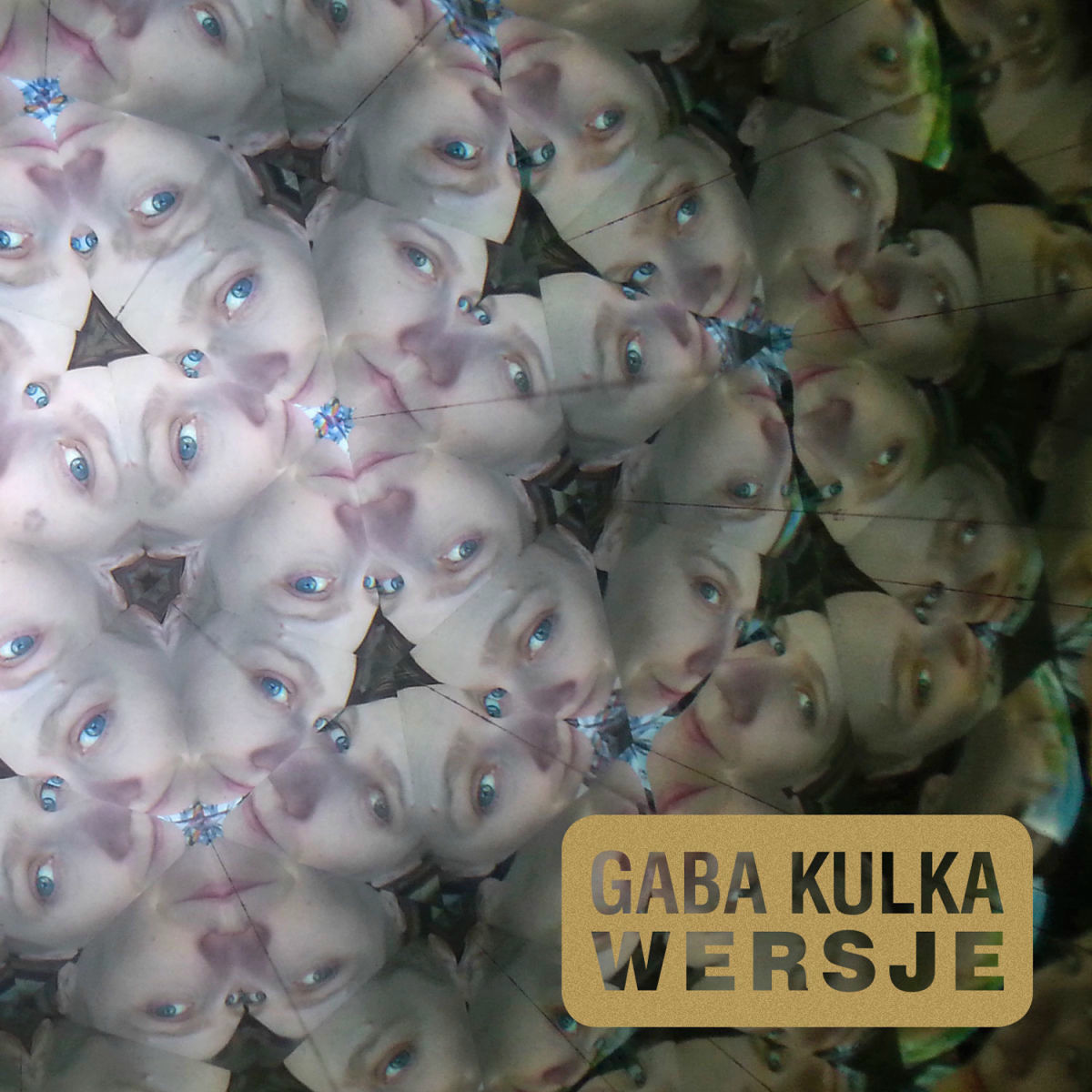 Album cover of Niejasności