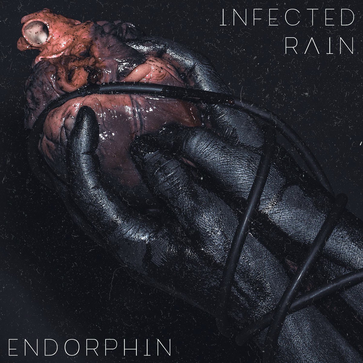 Album cover of Endorphin