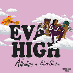 Cover of Eva High