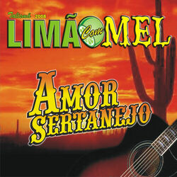 Cover of Amor Sertanejo