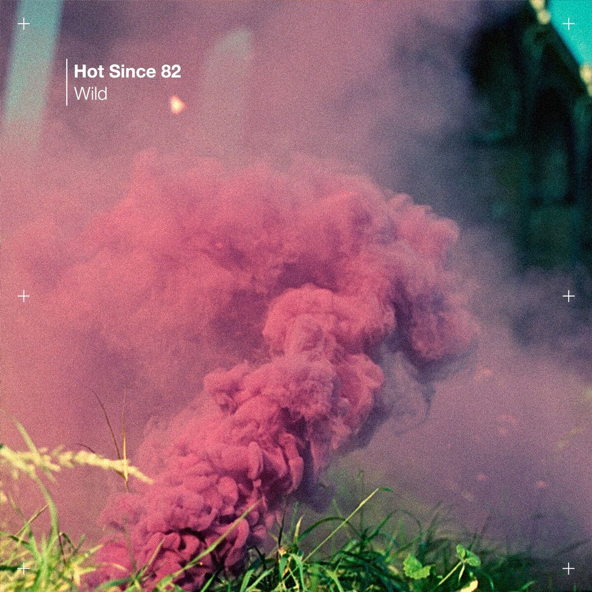 Album cover of Wild