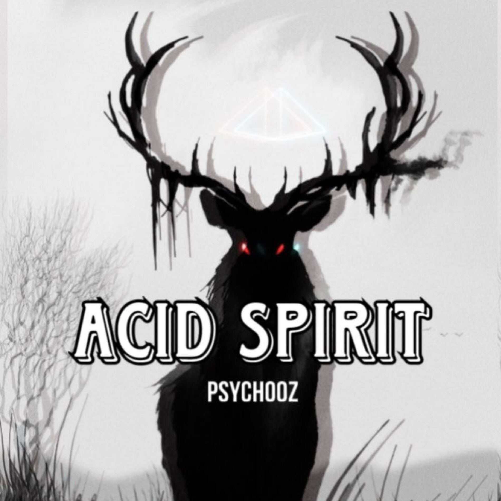 Album cover of Acid Spirit