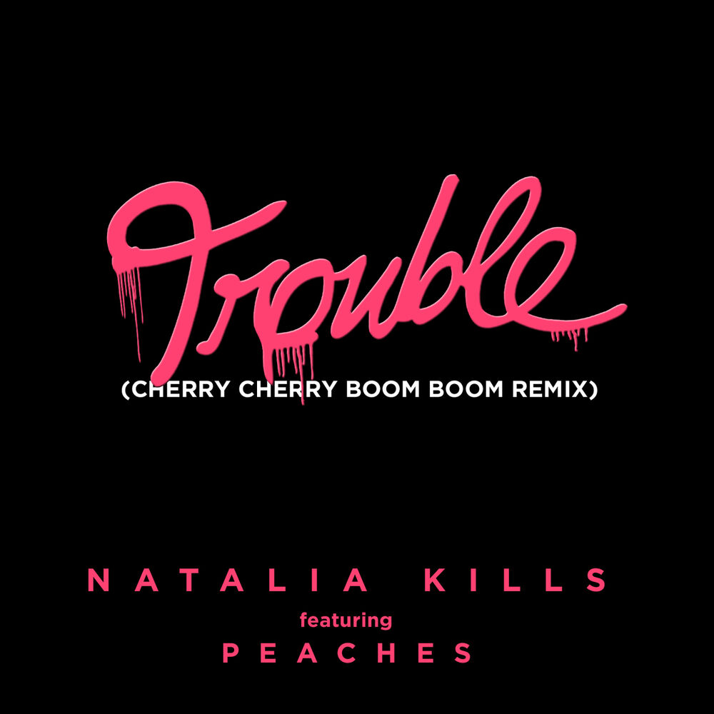 Picture of Trouble (Cherry Cherry Boom Boom Remix)