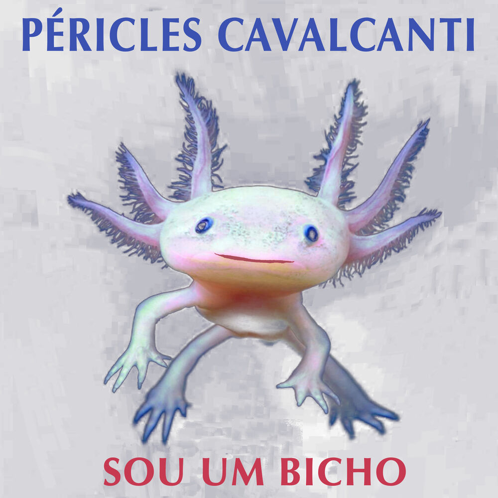 Picture of Sou um Bicho