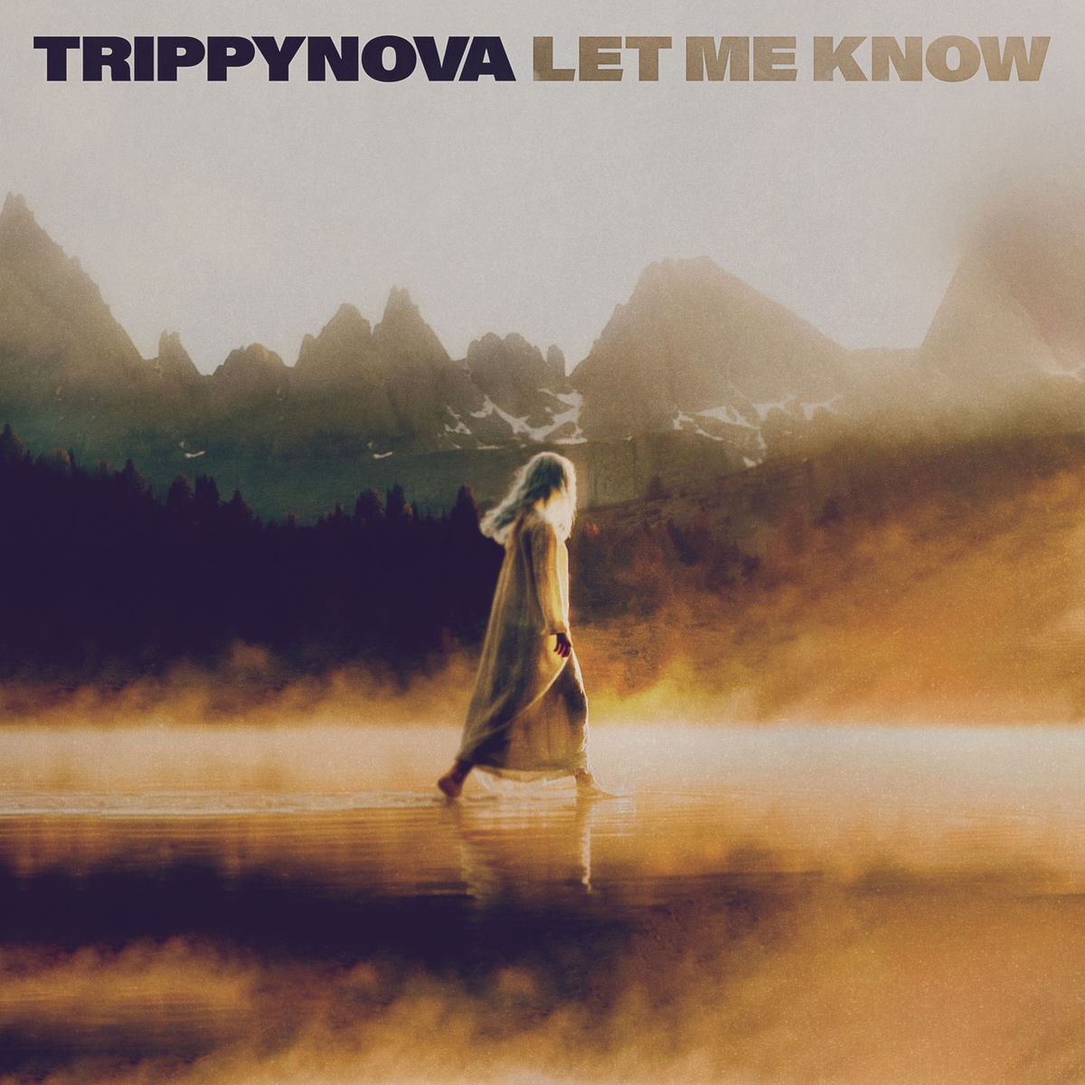Album cover of Let Me Know