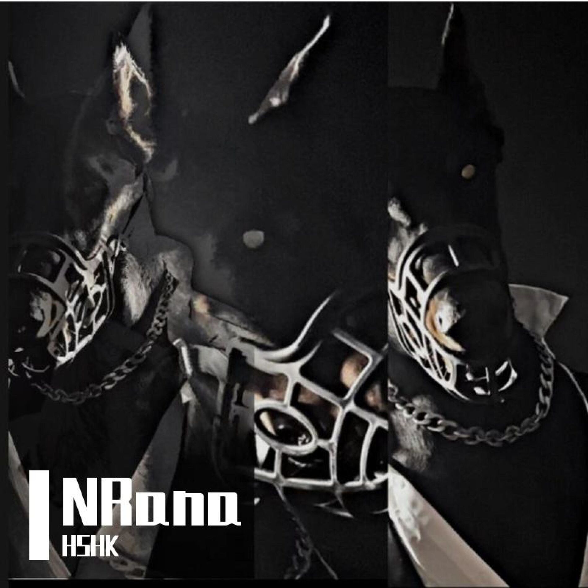 Album cover of NRana