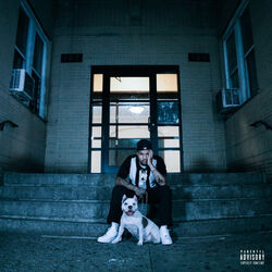 Cover of COLD AT NIGHT